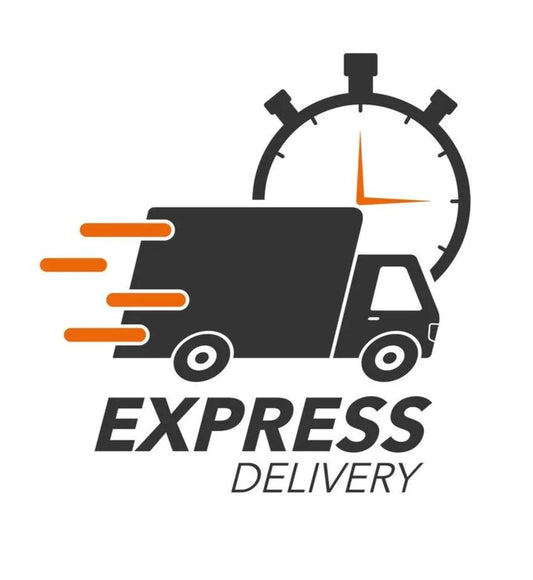 DESPACHO EXPRESS